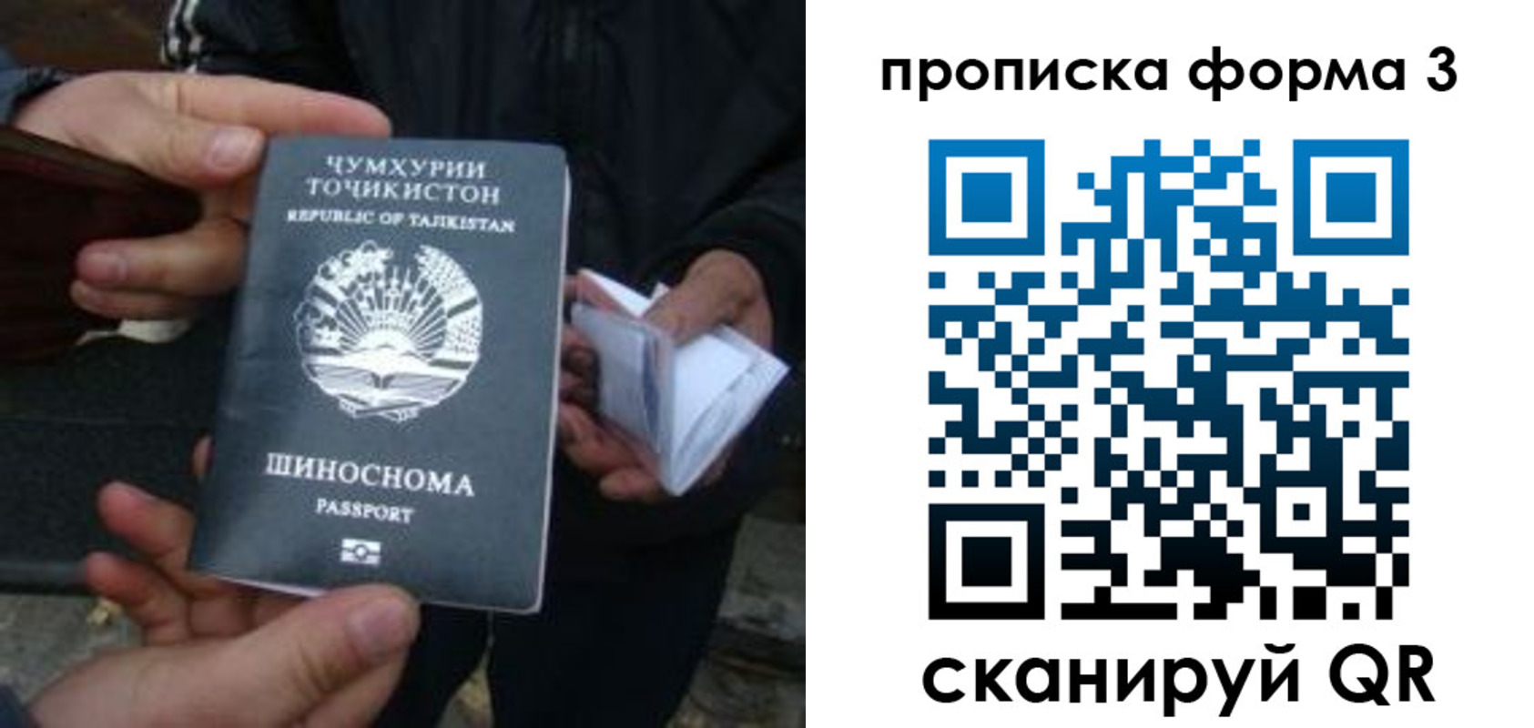 прописка 2025 в Богдановиче